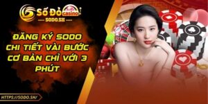 Đăng Ký SODO - Chi Tiết Vài Bước Cơ Bản Chỉ Với 3 Phút