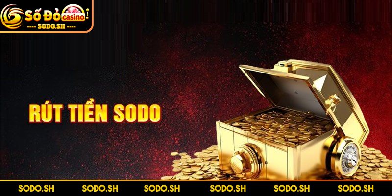 Rút Tiền SODO - Thực Hiện Giao Dịch Chỉ Trong 5 Phút - rut tien sodo dam bao thong tinn Đảm bảo thông tin khi rút tiền SODO