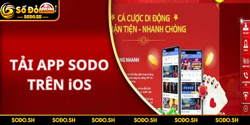 Tải App SODO Dễ Dàng – Hướng Dẫn Chi Tiết Cho Người Mới - tai app sodo cho ios Hướng dẫn download app cho IOS