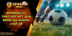 Bongdaluu – Theo Dõi Kết Quả Bóng Đá Nhanh Giúp Chơi Dễ