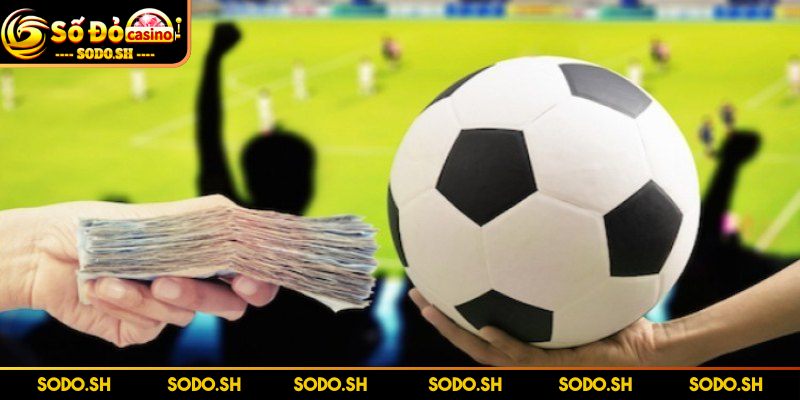 Bongdaso66 – Trực Tiếp Tốc Độ Cao Với Tỷ Lệ Kèo Chuẩn Xác - bongdaso66 cac tinh nang noi bat Các tính năng nổi bật giúp web vượt trội