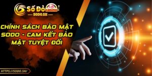 Chính Sách Bảo Mật SODO - Cam Kết Bảo Mật Tuyệt Đối