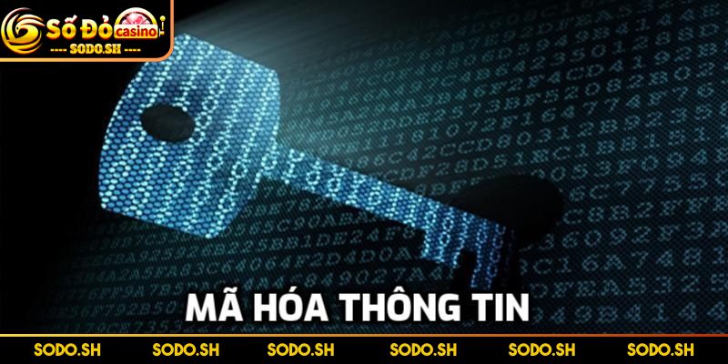 Chính Sách Bảo Mật SODO - Cam Kết Bảo Mật Tuyệt Đối - chinh sach bao mat du lieu duoc ma hoa Dữ liệu bet thủ được mã hóa theo tiêu chuẩn