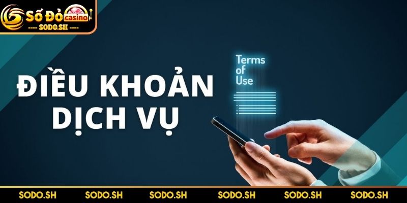 Điều Khoản Dịch Vụ SODO - Đọc Ngay Để Tránh Rủi Ro - dieu khoan dich vu quyen duoc thay doi Quyền được thay đổi quy định bất cứ lúc nào