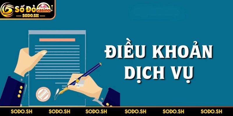 Điều Khoản Dịch Vụ SODO - Đọc Ngay Để Tránh Rủi Ro - dieu khoan dich vu vai net Vài nét về điều khoản dịch vụ