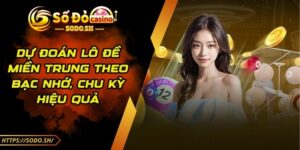 Dự Đoán Lô Đề Miền Trung Theo Bạc Nhớ, Chu Kỳ Hiệu Quả