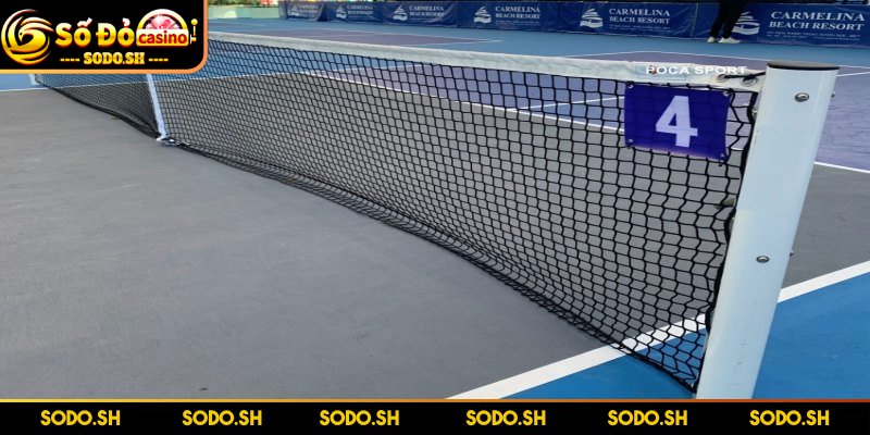 Dụng Cụ Chơi Pickleball Cần Thiết Cho Người Mới Bắt Đầu - dung cu choi pickleball luoi tuan thu kich thuoc Lưới tuân thủ kích thước chuẩn theo quy định quốc tế