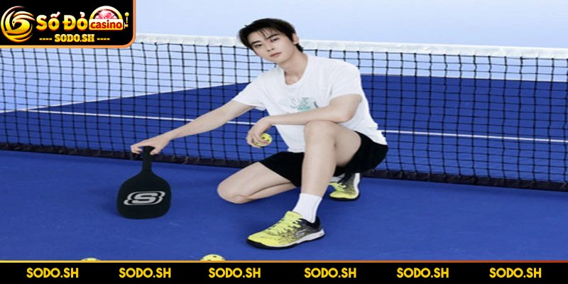 Dụng Cụ Chơi Pickleball Cần Thiết Cho Người Mới Bắt Đầu - dung cu choi pickleball thong tin Thông tin về chủ đề dụng cụ chơi Pickleball