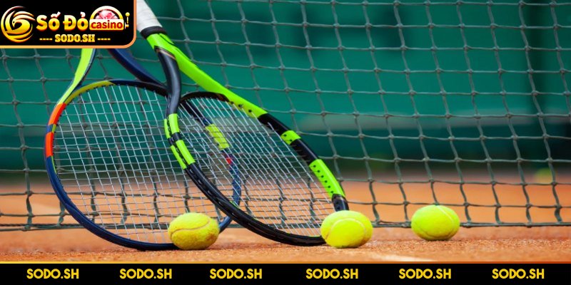 Dụng Cụ Chơi Tennis Cần Thiết Cho Người Mới Tập Luyện - dung cu choi tennis thong tin Thông tin về dụng cụ chơi tennis