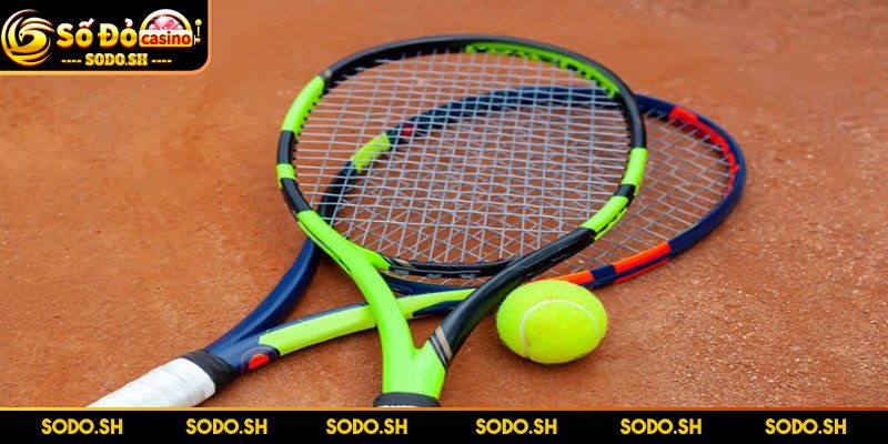 Dụng Cụ Chơi Tennis Cần Thiết Cho Người Mới Tập Luyện - dung cu choi tennis vot Vợt được xem là linh hồn trong bộ dụng cụ tennis