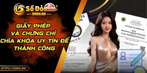 Giấy Phép Và Chứng Chỉ SODO - Chìa Khóa Uy Tín Để Thành Công