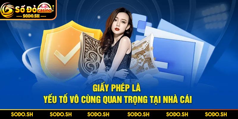 Giấy Phép và Chứng Chỉ SODO - Chìa Khóa Uy Tín Để Thành Công - giay phep va chung chi tam qan trong Tầm quan trọng của giấy phép và chứng chỉ SODO
