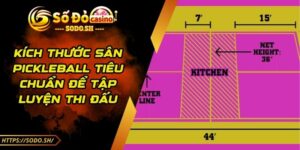 Kích Thước Sân Pickleball Tiêu Chuẩn Để Tập Luyện Thi Đấu