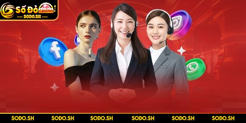 Liên Hệ SODO – Hỗ Trợ Nhanh Chóng, Giải Đáp Tận Tâm - lien he doi ngu cskh truc tuyen Đội ngũ CSKH trực tuyến sẽ luôn sẵn sàng hỗ trợ
