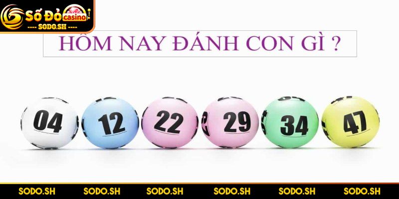 Lô Đề Hôm Nay Đánh Con Gì? Xem Để Tránh Bỏ Lỡ Số Tài Lộc - lo de hom nay danh con gi theo thong ke Lô đề hôm nay đánh con gì theo thống kê xác suất?