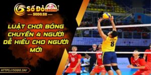 Luật Chơi Bóng Chuyền 4 Người Dễ Hiểu Cho Người Mới