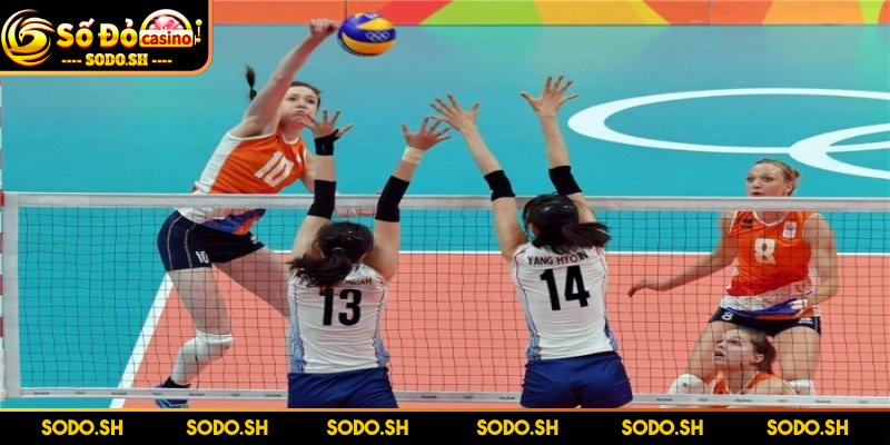Luật Chơi Bóng Chuyền 4 Người Dễ Hiểu Cho Người Mới - luat choi bong chuyen 4 nguoi moi doi Mỗi đội đúng bốn người thi đấu cùng lúc