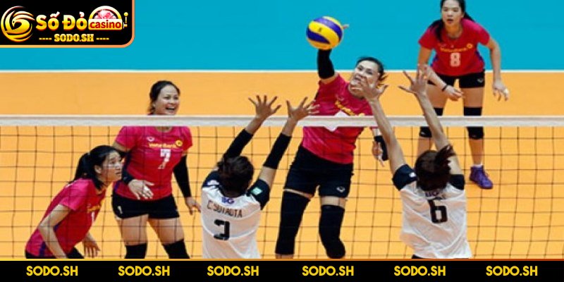 Luật Chơi Bóng Chuyền 4 Người Dễ Hiểu Cho Người Mới - luat choi bong chuyen 4 nguoi moi luot tan cong Mỗi lượt tấn công chỉ được phép chạm bóng tối đa ba lần