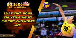 Luật Chơi Bóng Chuyền 6 Người Chi Tiết Cho Người Mới 