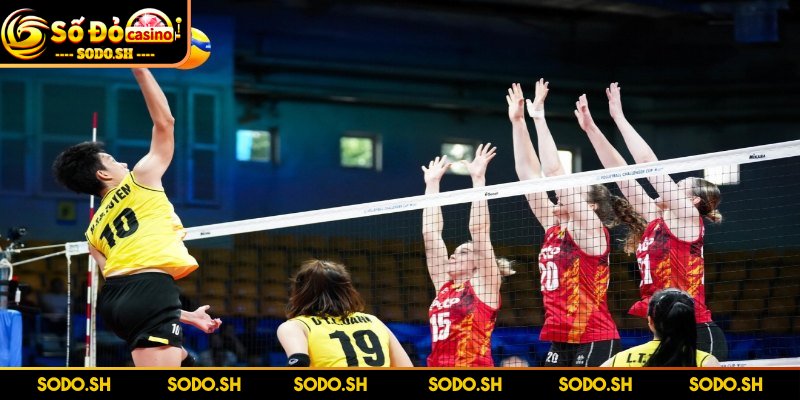 Luật Chơi Bóng Chuyền 6 Người Chi Tiết Cho Người Mới - luat choi bong chuyen 6 nguoi gioi han ba luot cham Giới hạn ba lượt chạm mỗi bên trong một pha bóng