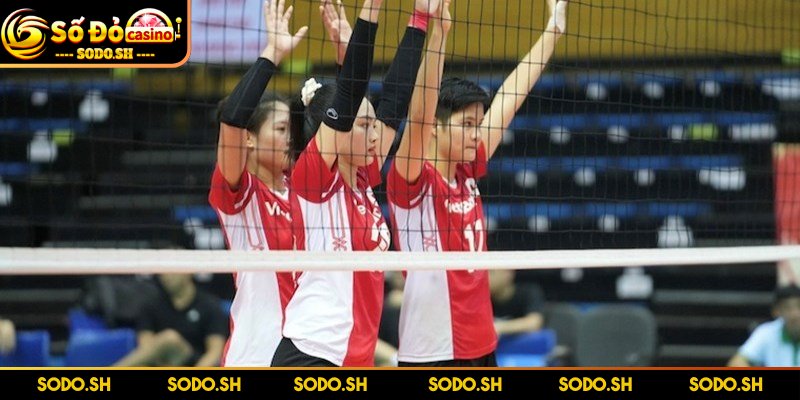 Luật Chơi Bóng Chuyền 6 Người Chi Tiết Cho Người Mới - luat choi bong chuyen 6 nguoi quy dinh moi doi Luật chơi quy định mỗi đội gồm sáu vận động viên