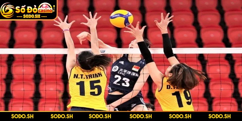 Luật Chơi Bóng Chuyền 6 Người Chi Tiết Cho Người Mới - luat choi bong chuyen 6 nguoi thong tin Thông tin về luật chơi bóng chuyền 6 người