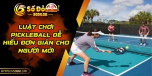 Luật Chơi Pickleball Dễ Hiểu Đơn Giản Cho Người Mới