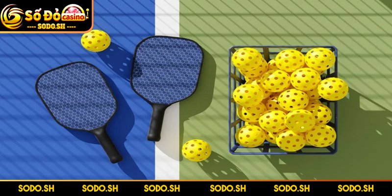 Luật Chơi Pickleball Dễ Hiểu Đơn Giản Cho Người Mới - luat choi pickleball vung cam Vùng cấm hay non-volley zone nằm sát lưới, dài 2,13m mỗi bên