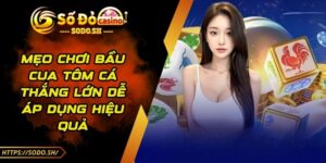 Mẹo Chơi Bầu Cua Tôm Cá Thắng Lớn Dễ Áp Dụng Hiệu Quả