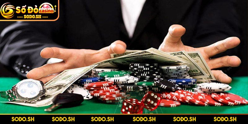 Mẹo Chơi Tài Xỉu Luôn Thắng Theo Cầu Bệt, Gấp Thếp - meo choi tai xiu luon thang thong tin Thông tin về mẹo chơi tài xiu luôn thắng