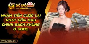 Nhận Tiền Cược Lại Ngay Hôm Sau - Chính Sách Khủng Ở SODO