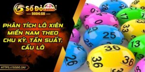 Phân Tích Lô Xiên Miền Nam Theo Chu Kỳ, Tần Suất, Cầu Lô